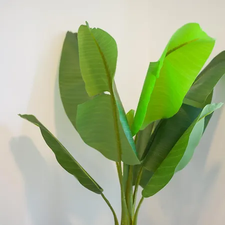 Castle Of Light By Canariasgetaway Дом отдыха *