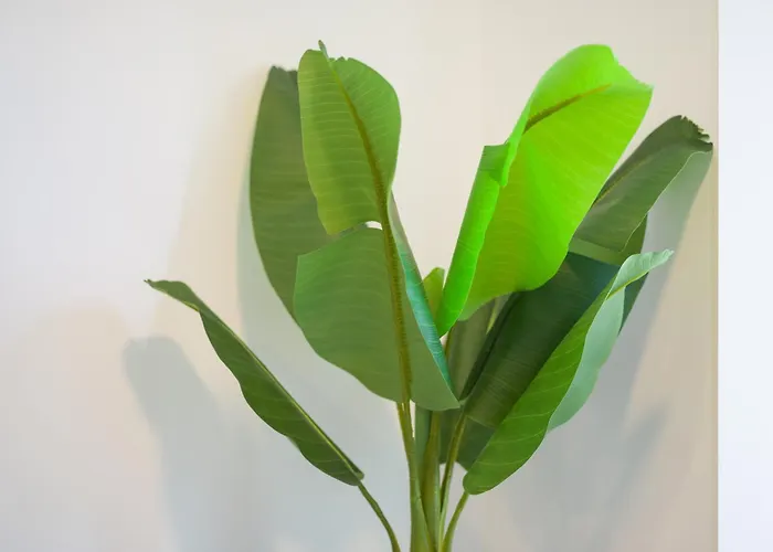 Castle Of Light By Canariasgetaway 度假居 *